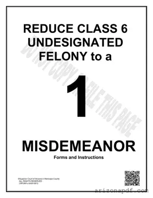 Fill in a Valid Arizona Class 6 Undesignated Felony Template