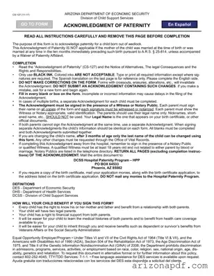 Fill in a Valid Arizona Paternity Template